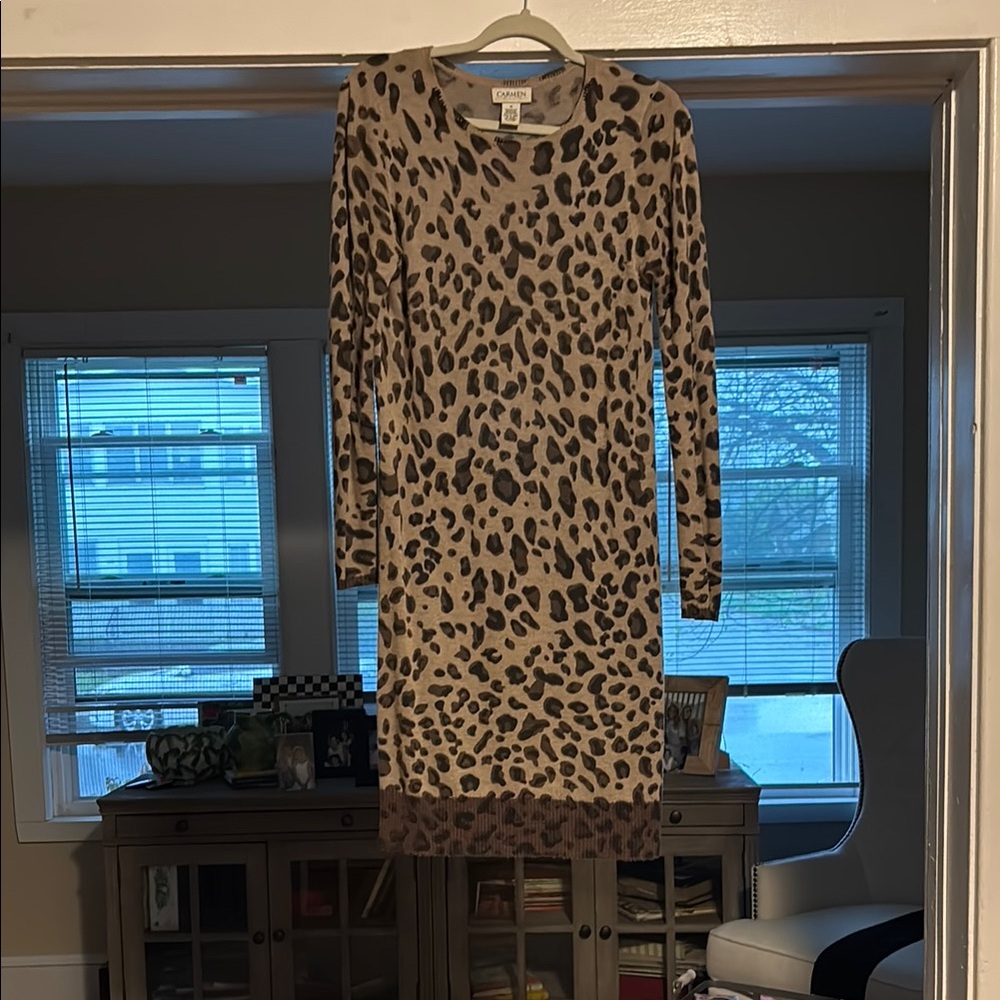 Leopard Print Long Sleeve Dress